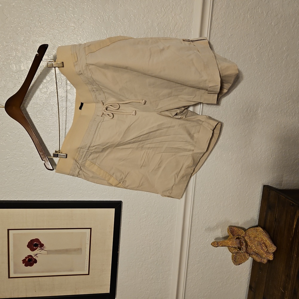 Lane Bryant Beige Shorts